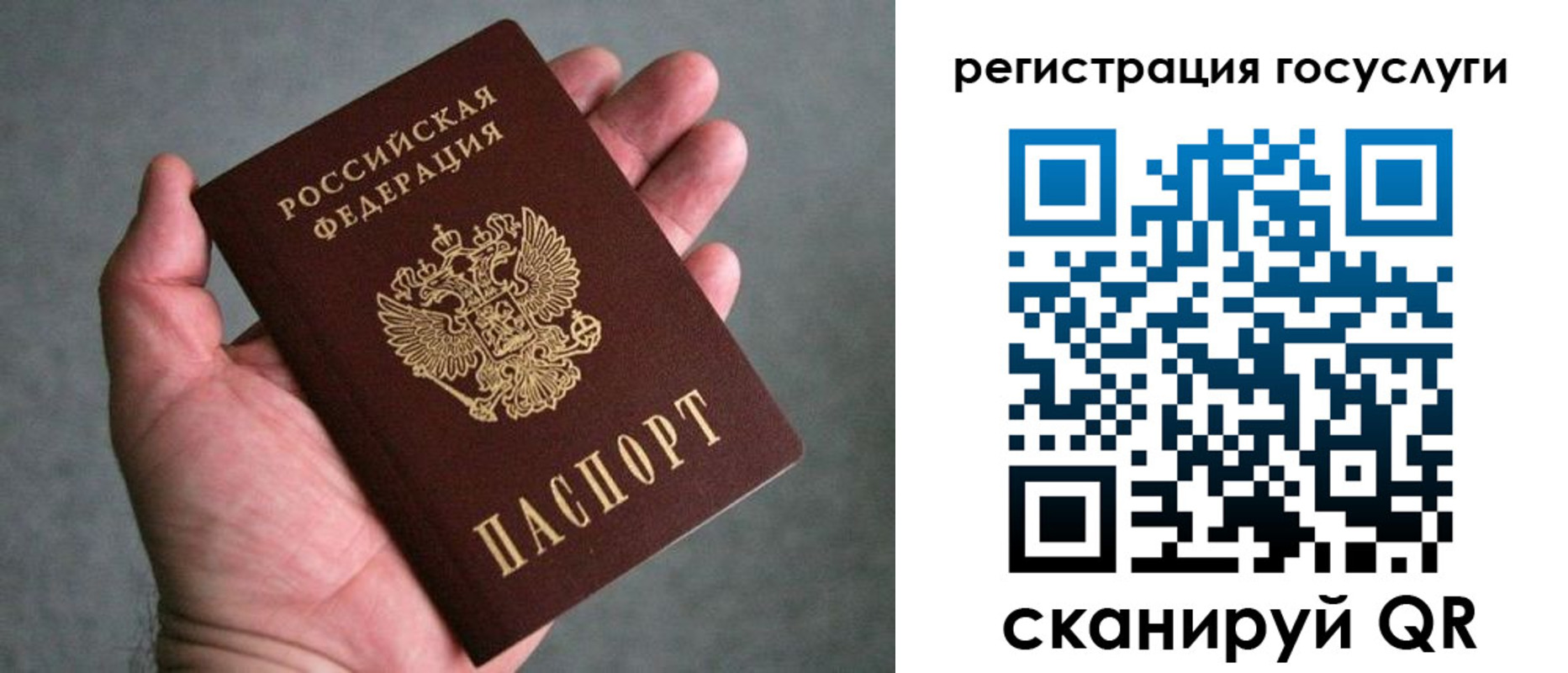 прописка поиск в Ярославле